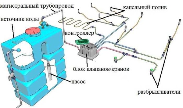 Система автополива своими руками - реальная задача