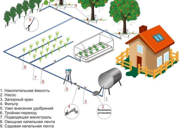 Система полива на даче из емкости