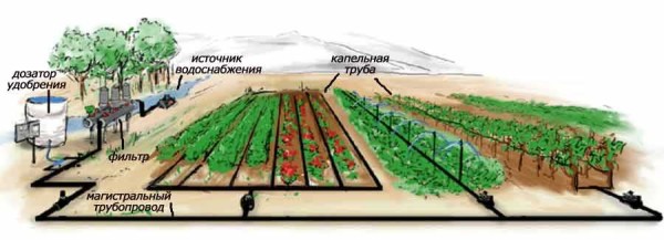 Автоматический полив огорода своими руками можно собрать из комплектующих или купить готовые наборы для полива