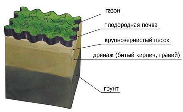 На заболоченных почвах для того чтобы вырастить красивый газон необходимо создать нормальные условия для отведения воды