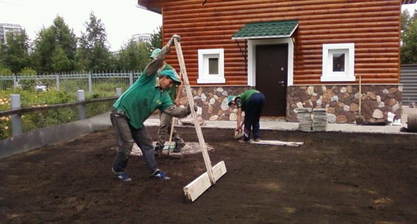 Чтобы сделать красивый газон, необходимо тщательно выровнять участок