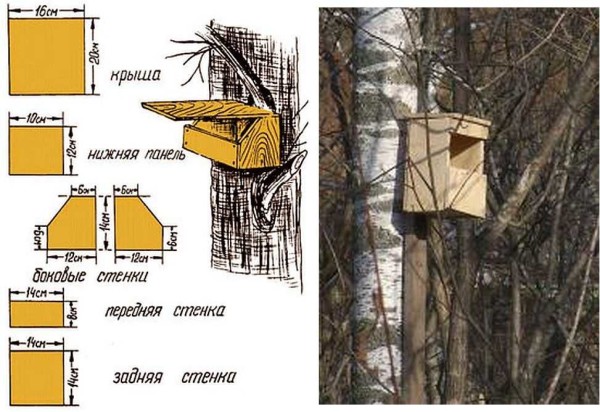 Полудуплянка для серой мухоловки