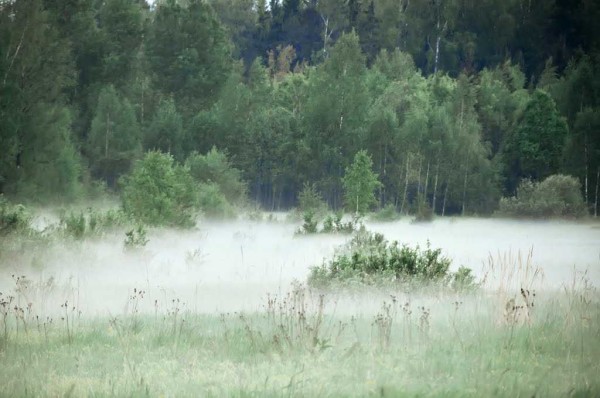 По "концентрации" тумана можно определить, где вода ближе