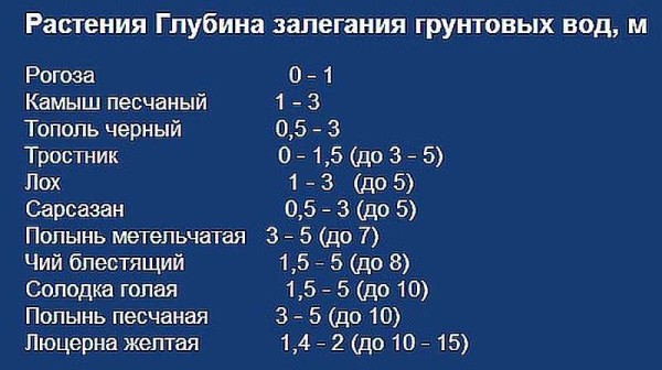 Растения, указывающие на какой глубине находится водоносный слой