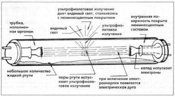 Принципиальное устройство люминесцентной лампы дневного света