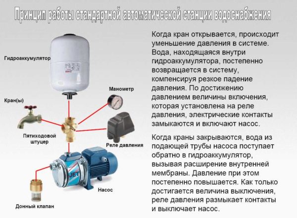 Каждая из частей выполняет свою работу