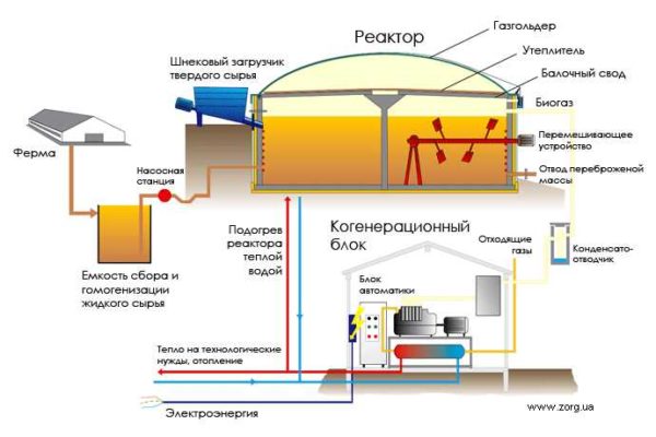 Организация цикла переработки навоза и растительных отходов в биогаз