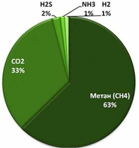 Примерный состав биогаза