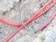 Если кабелей несколько, их укладывают каждый в свою оболочку или располагают просто параллельно на расстоянии 10-15 см один от другого
