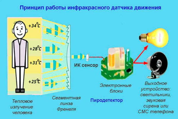 Работа инфракрасных датчиков движения основаны на отслеживании тепла, выделяемого человеком