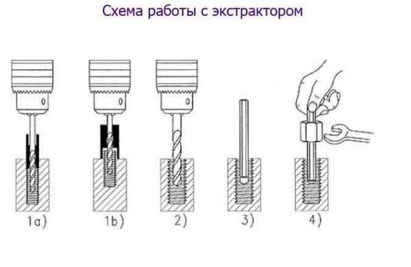 Как работать с экстрактором 