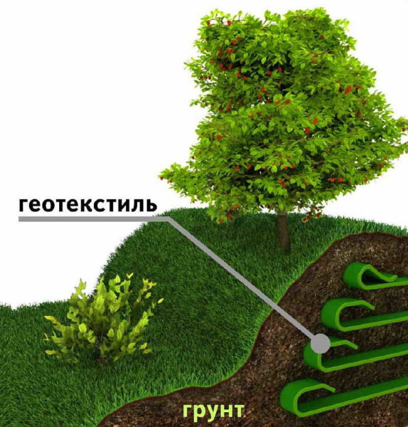 При формировании ландшафта