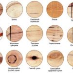 Виды дефектов и пороков пиломатериалов