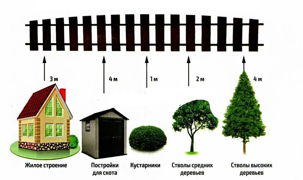 расстояние от деревьев до забора