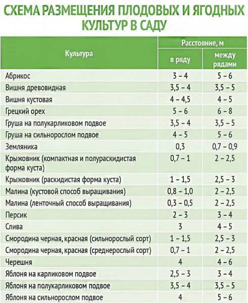 расстояния между деревьями