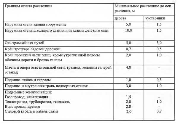 расстояния от насаждений до зданий