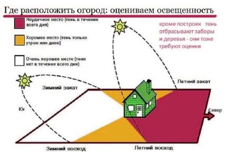 Как выбрать место на участке под огород