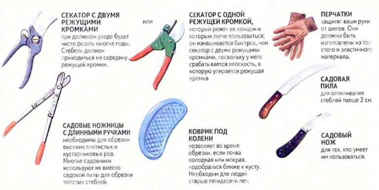 Инструменты для обрезки роз