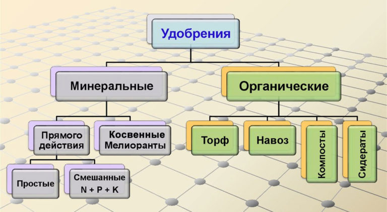 Виды удобрений. Удобрения делятся на две группу - органические и неорганические (минеральные)