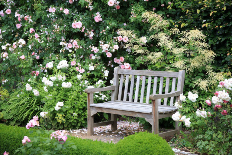 Скамейка в саду из роз
